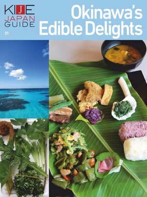 cover image of KIJE JAPAN GUIDE